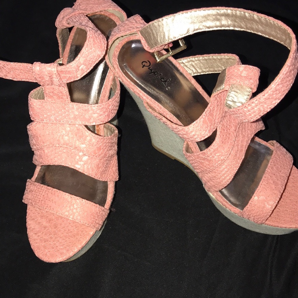 Salmon Color Wedges
